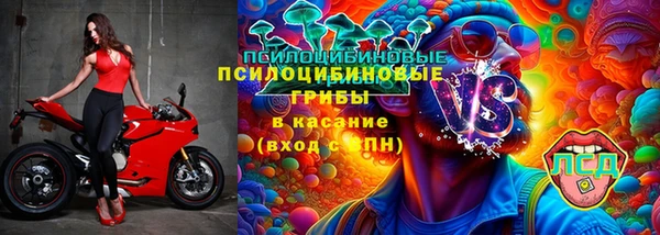 mix Ельня