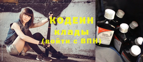 МДПВ Елизово