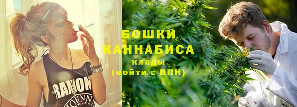 mix Ельня