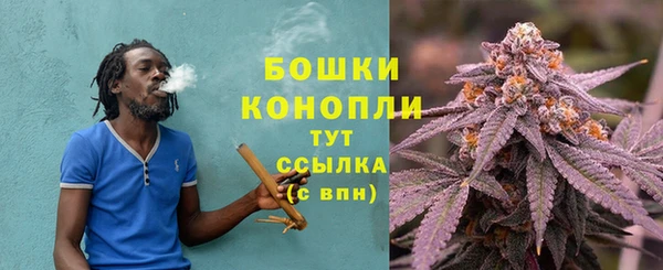 mix Ельня