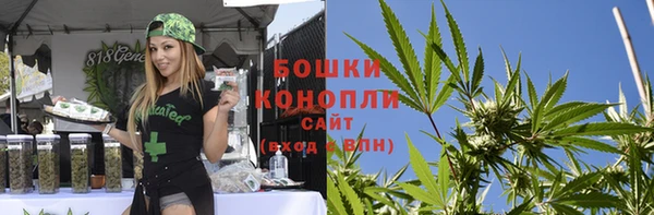 mix Ельня
