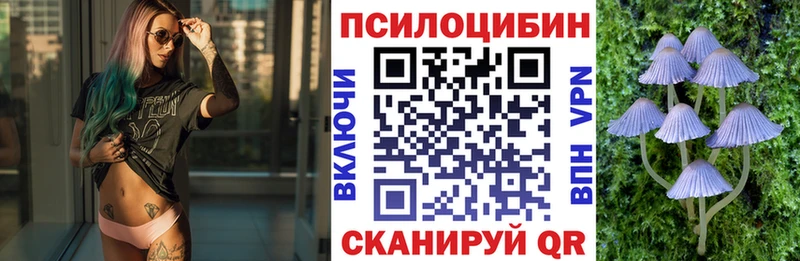 Галлюциногенные грибы Magic Shrooms  цены наркотик  Зеленогорск 