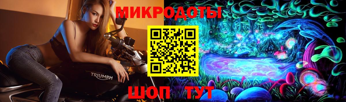 Галлюциногенные грибы Cubensis Зеленогорск